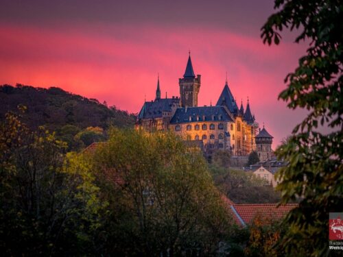 Schloß Wernigerode im Morgenrot