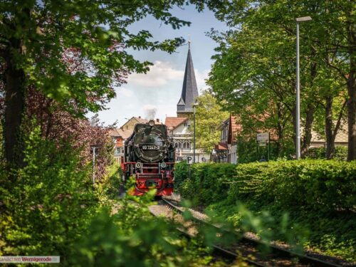 Schmalspurbahn 2