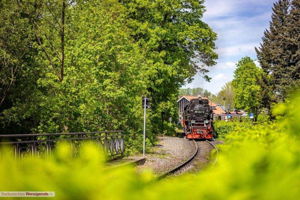 Schmalspurbahn 3