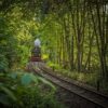 Die Schmalspurbahn in Wernigerode