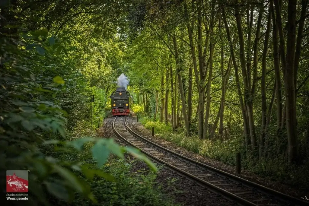 Die Schmalspurbahn in Wernigerode