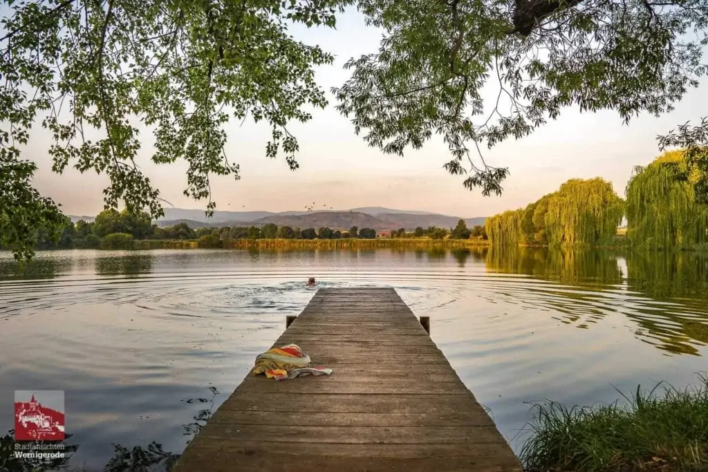 Reddeberteich in Wernigerode