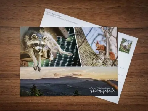 Postkarte: Natur erleben