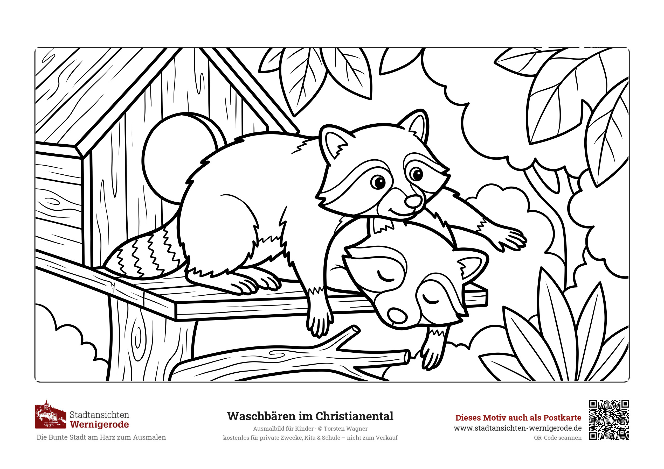 Ausmalbild Waschbären im Christianental für Kinder