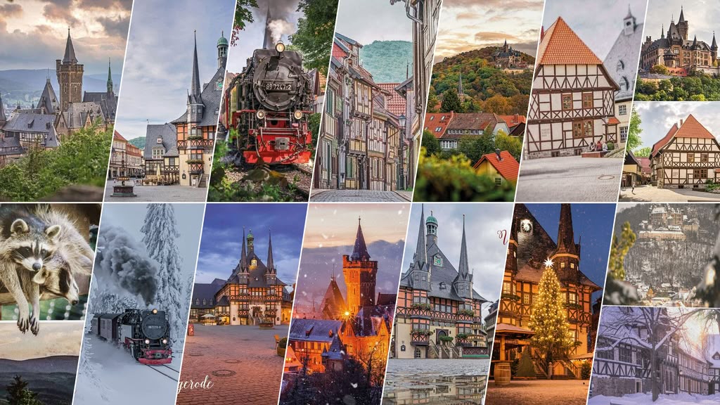 Wernigerode-Kennenlern-Set – Collage Wernigerode-Kennenlern-Set: 14 Postkartenmotive von Schloss, Rathaus, Altstadt, Harzer Schmalspurbahn und Harzer Natur