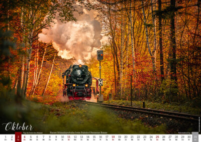 Dampfzug der Harzer Schmalspurbahn im Herbstwald auf Bahngleisen.