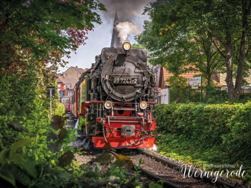 Steam locomotive 99 7247-2 in Wernigerode between green trees