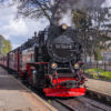 Dampflok am Bahnsteig – Wernigerode