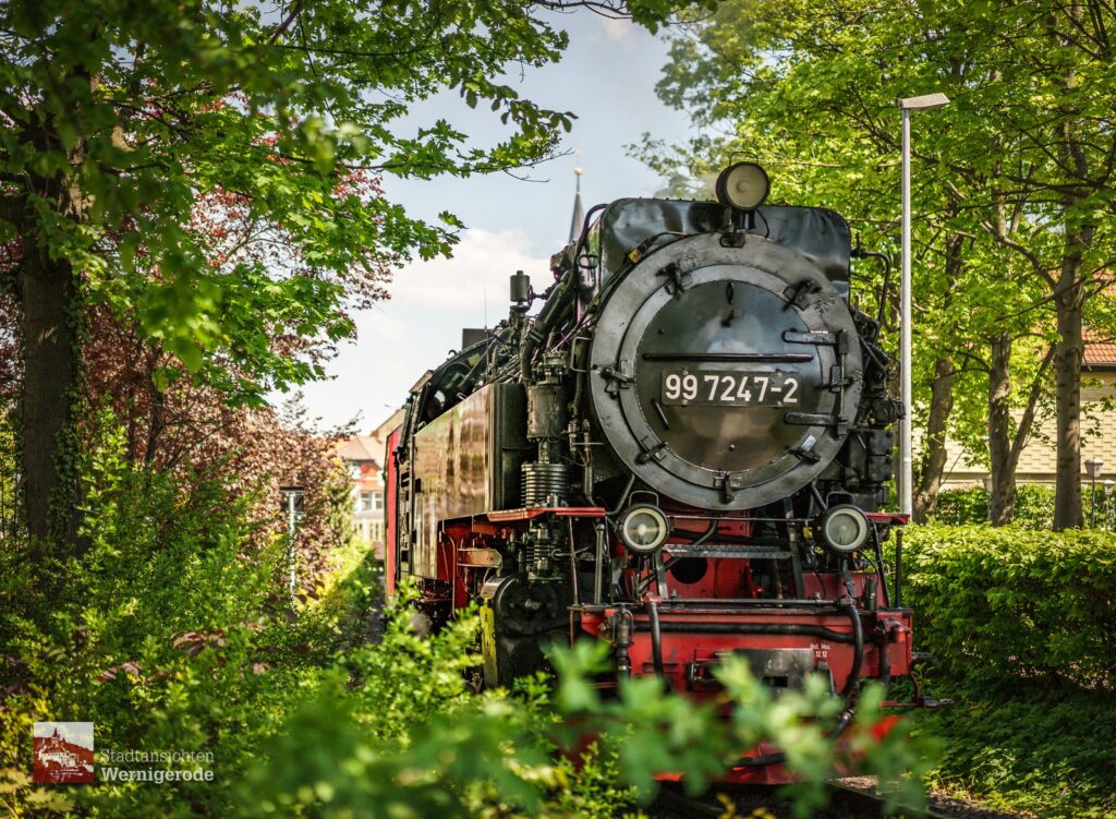 Steam locomotive in spring green – Wernigerode Steam locomotive in spring green – Wernigerode