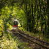 Dampflok im grünen Tunnel – Wernigerode