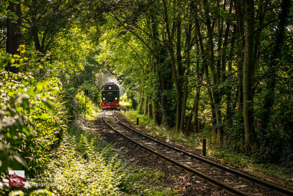 Dampflok im grünen Tunnel – Wernigerode