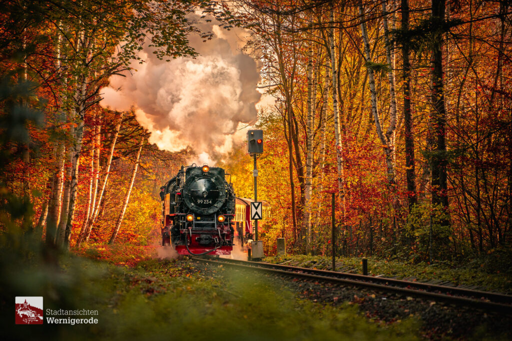 Dampflok im Herbstwald – Wernigerode