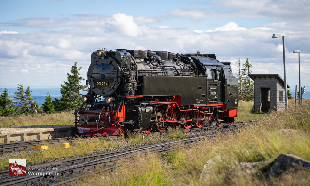 Dampflok im Sommer – Wernigerode
