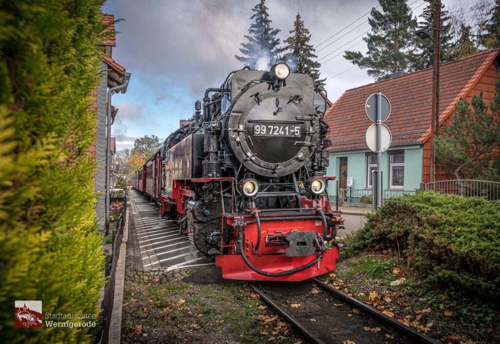 Steam locomotive between hedges – Wernigerode
