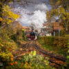 Dampfzug im Herbst – Wernigerode