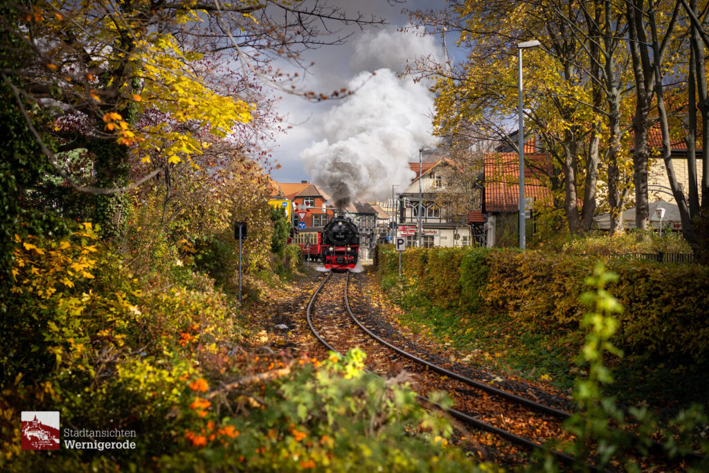 Dampfzug im Herbst – Wernigerode