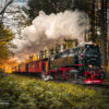 Dampfzug im Herbstwald – Wernigerode