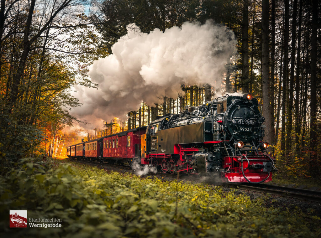 Dampfzug im Herbstwald – Wernigerode