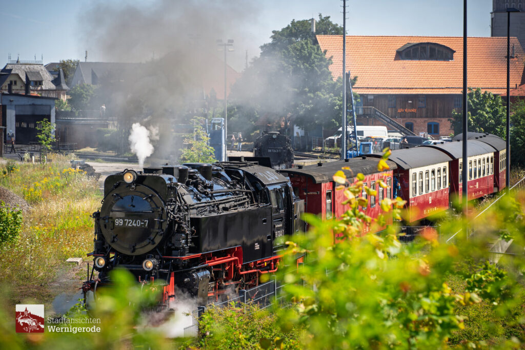Dampfzug im Sommer – Wernigerode