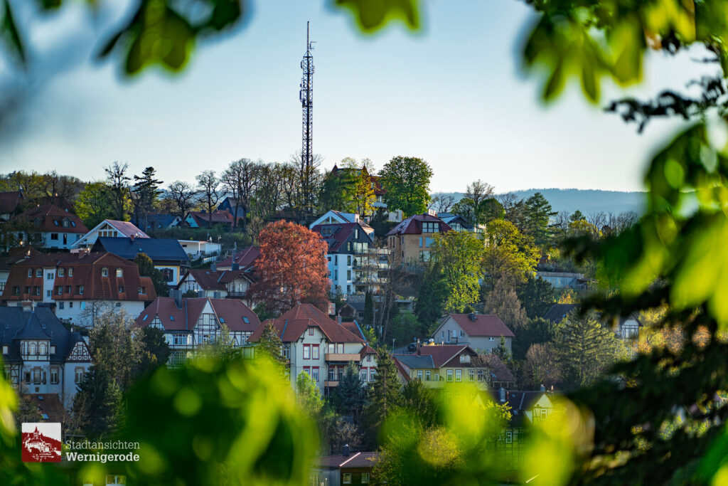 Blick zum Lindenberg – Wernigerode Blick zum Lindenberg – Wernigerode