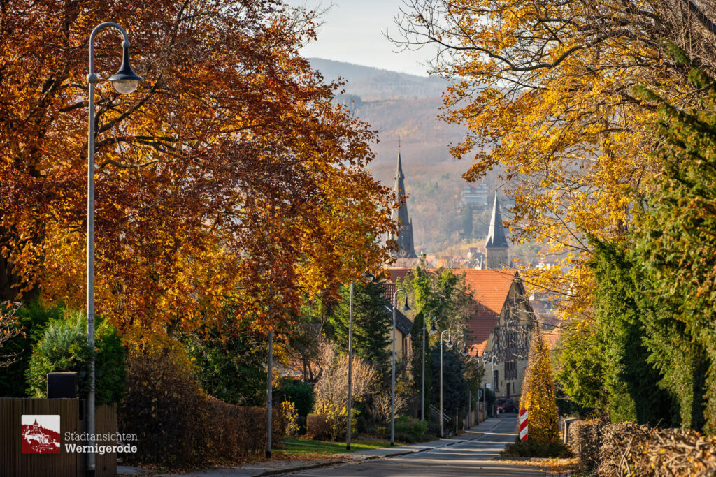Herbstallee – Wernigerode Herbstallee – Wernigerode