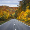 Straße im Herbstwald – Wernigerode Straße im Herbstwald – Wernigerode