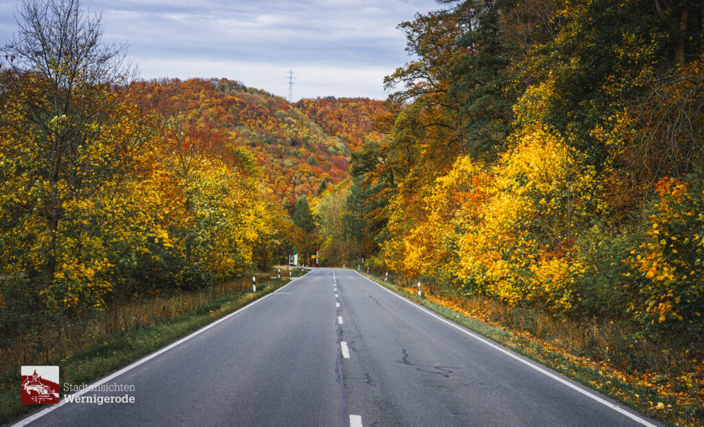 Straße im Herbstwald – Wernigerode