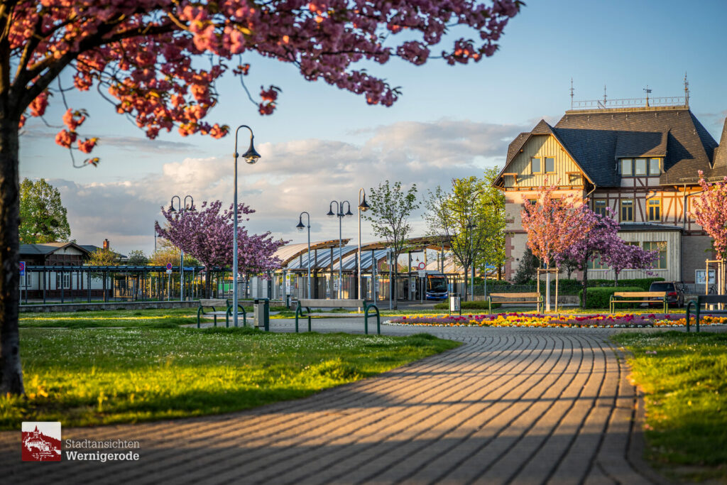 Kirschblüte am Hauptbahnhof – Wernigerode