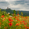 Mohnfeld mit Schloss – Wernigerode Mohnfeld mit Schloss – Wernigerode
