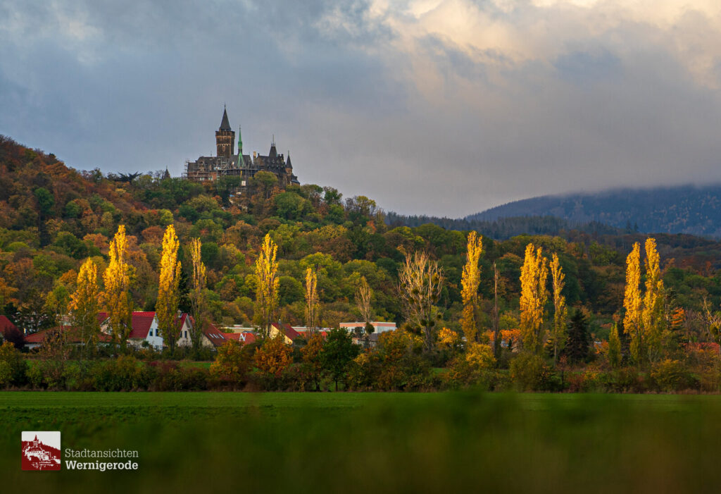 Schloss hinter Pappeln – Wernigerode