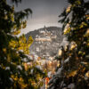 Schloss zwischen Tannen – Wernigerode Schloss zwischen Tannen – Wernigerode