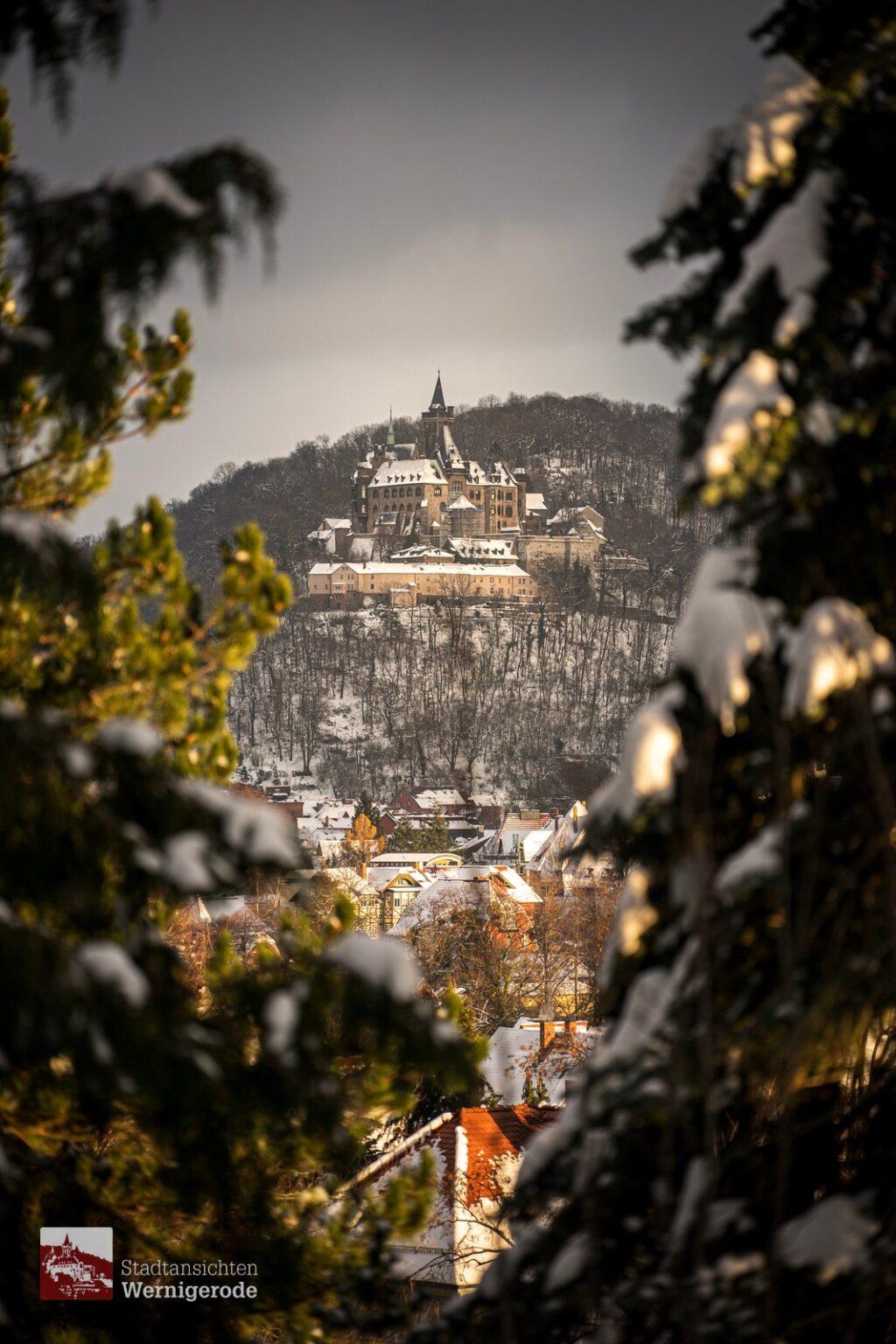 Castle in the winter forest – Wernigerode