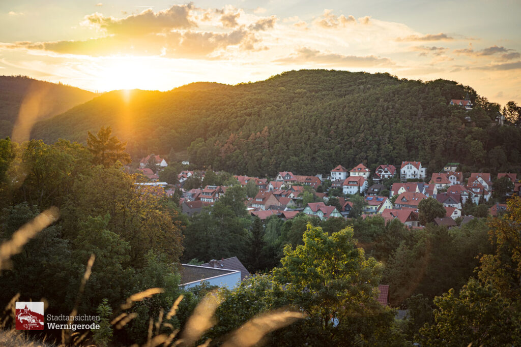 Sonnenuntergang am Hang – Wernigerode Sonnenuntergang am Hang – Wernigerode
