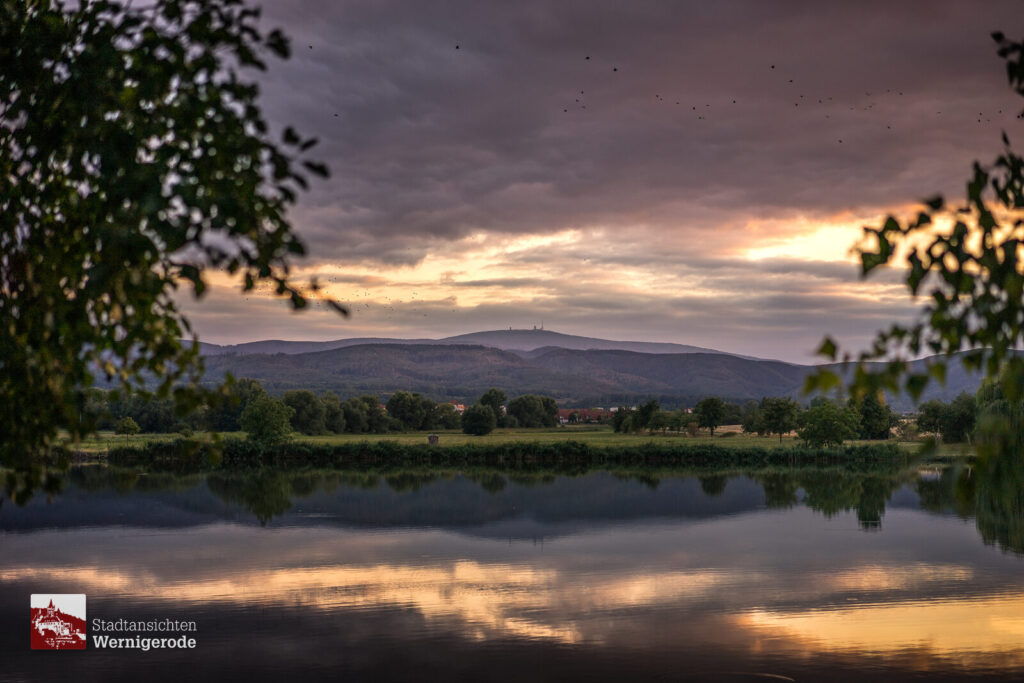 Abendrot am Teich – Wernigerode Abendrot am Teich – Wernigerode
