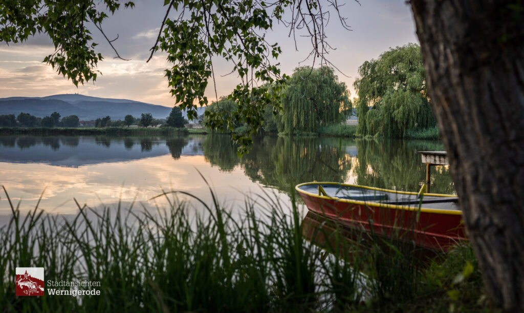 Boot am Teich – Wernigerode