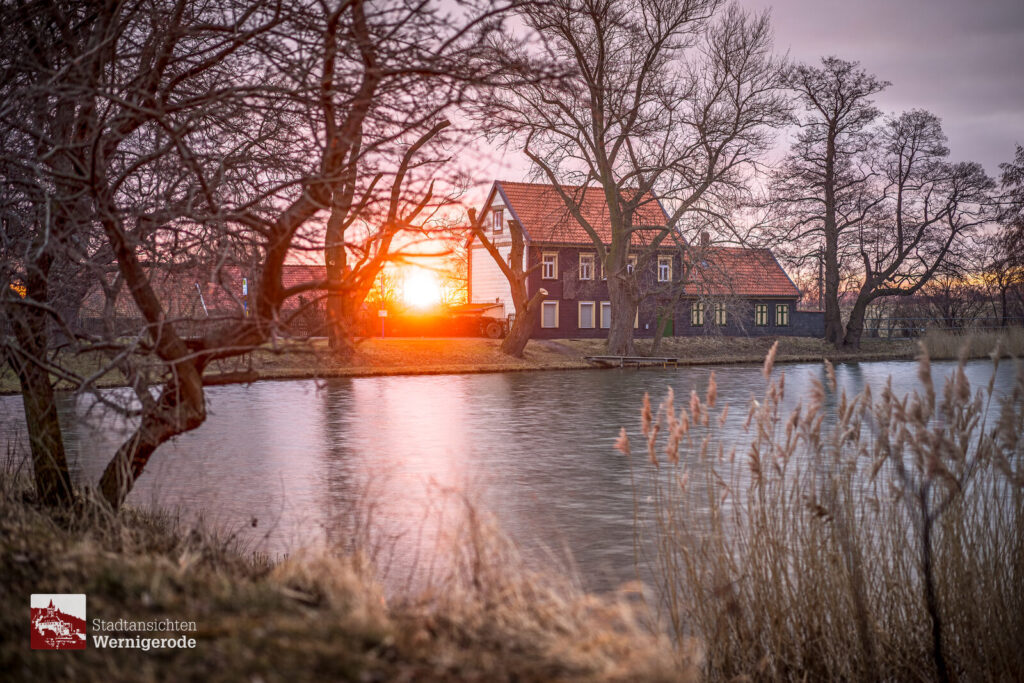 Sonnenaufgang am Teich – Wernigerode