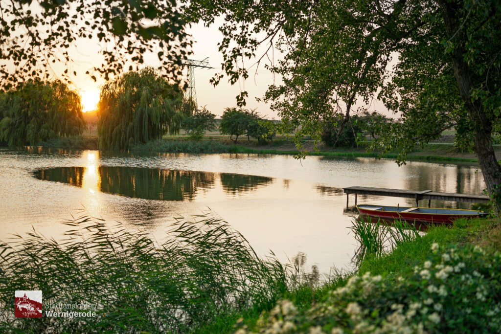 Sonnenuntergang am Teich – Wernigerode