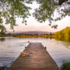 Reddeberteich am Morgen – Wernigerode Reddeberteich am Morgen – Wernigerode