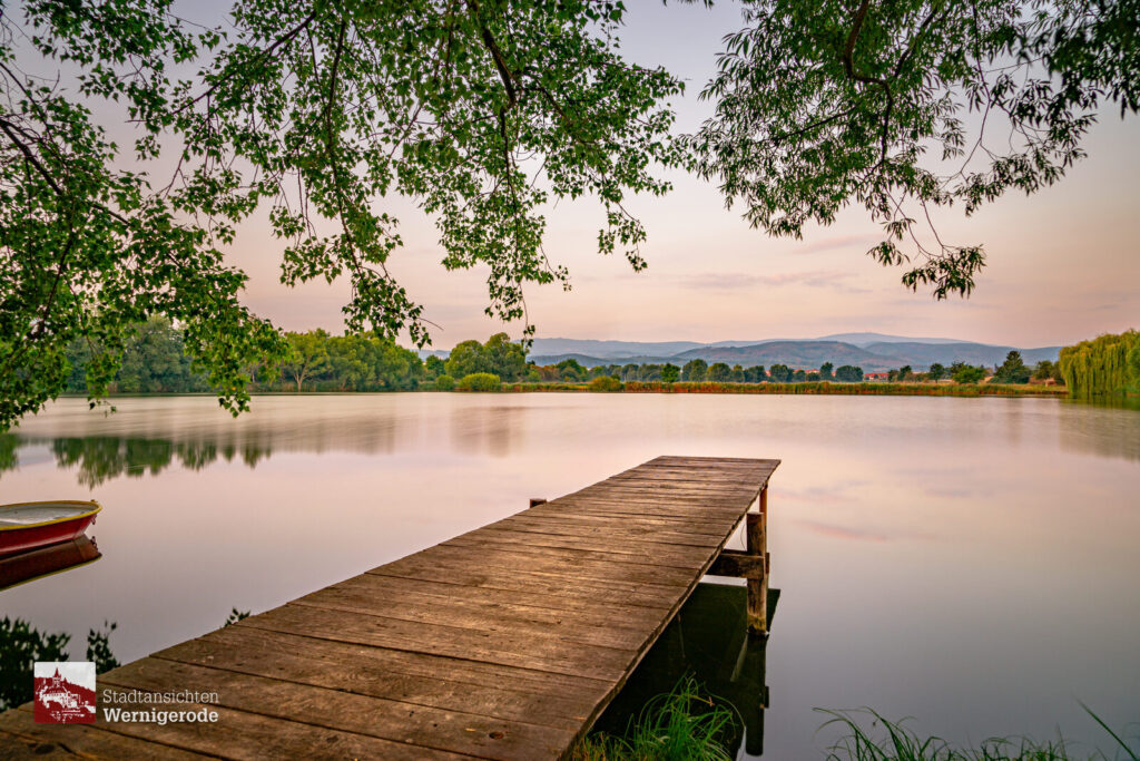 Steg am Teich – Wernigerode Steg am Teich – Wernigerode