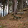 Bank im Wald – Wernigerode Bank im Wald – Wernigerode