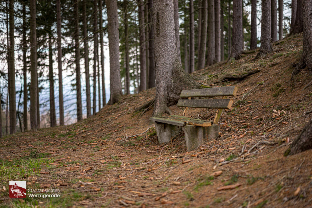 Bank im Wald – Wernigerode