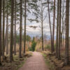 Waldweg – Wernigerode Waldweg – Wernigerode